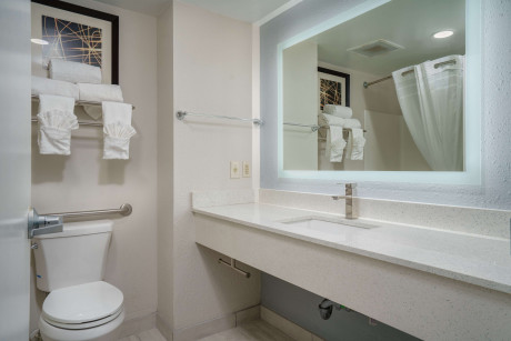 BEST WESTERN PLUS SWANSBORO - Bathroom